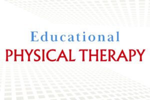 A Physical Therapist’s Role