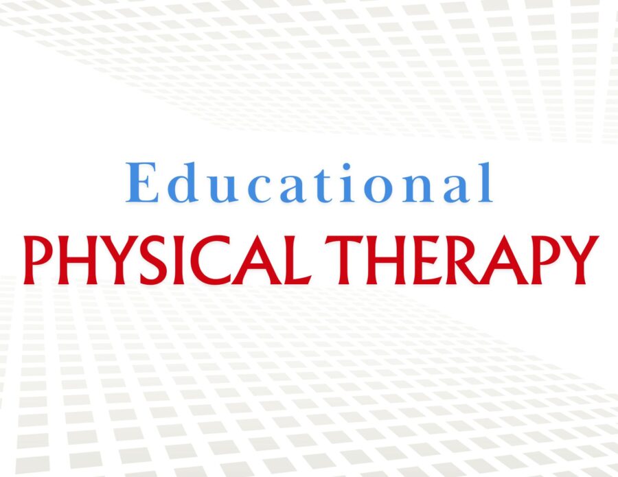 A Physical Therapist’s Role