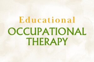 An Occupational Therapist’s Role