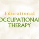 An Occupational Therapist’s Role