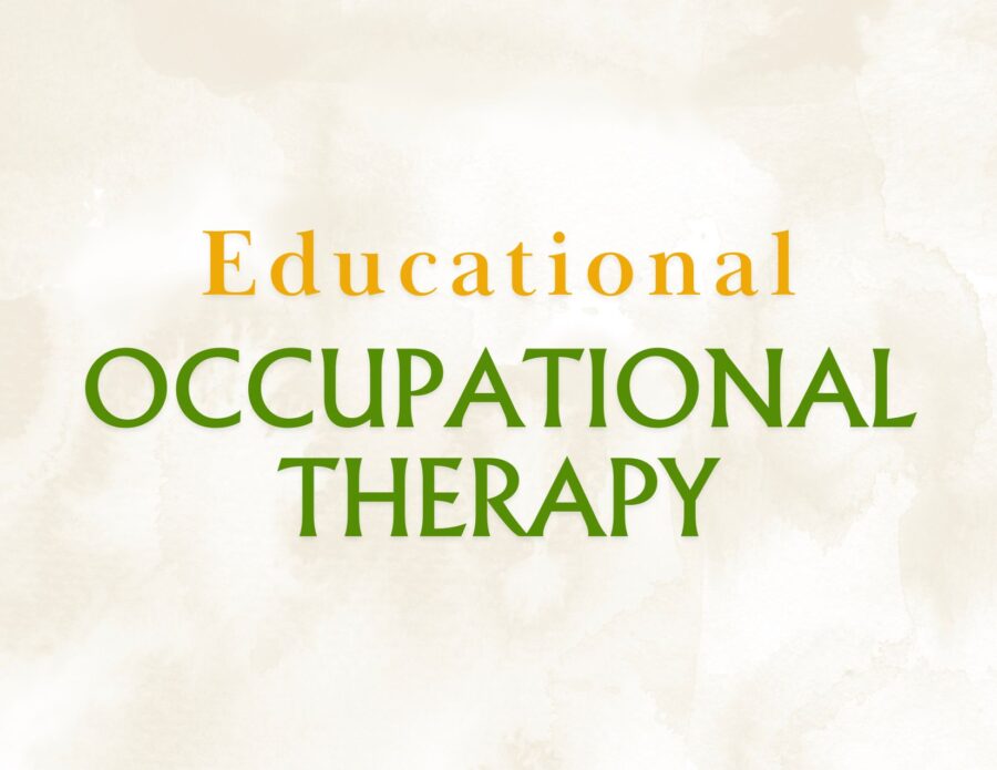 An Occupational Therapist’s Role